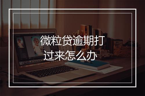 微粒贷逾期打 过来怎么办