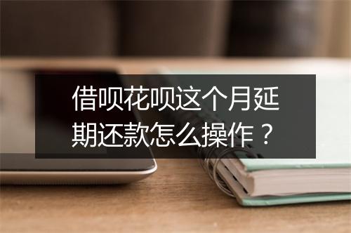 借呗花呗这个月延期还款怎么操作？