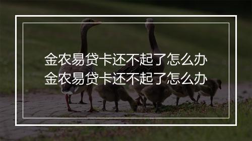 金农易贷卡还不起了怎么办金农易贷卡还不起了怎么办