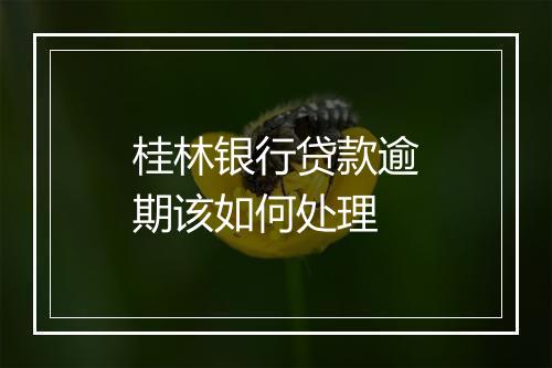 桂林银行贷款逾期该如何处理
