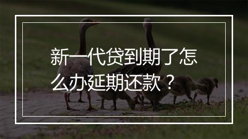 新一代贷到期了怎么办延期还款？