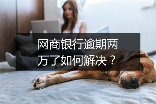 网商银行逾期两万了如何解决？