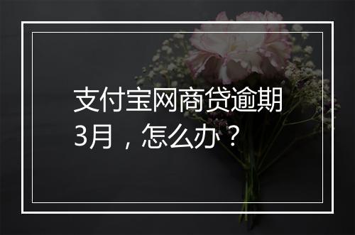 支付宝网商贷逾期3月，怎么办？
