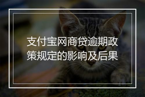 支付宝网商贷逾期政策规定的影响及后果