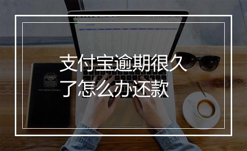 支付宝逾期很久了怎么办还款