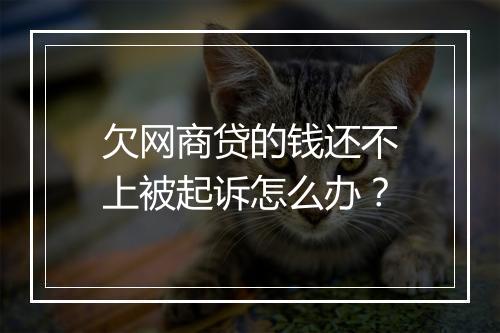欠网商贷的钱还不上被起诉怎么办？