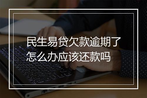 民生易贷欠款逾期了怎么办应该还款吗