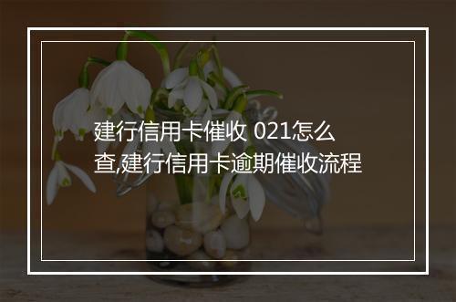 建行信用卡催收 021怎么查,建行信用卡逾期催收流程