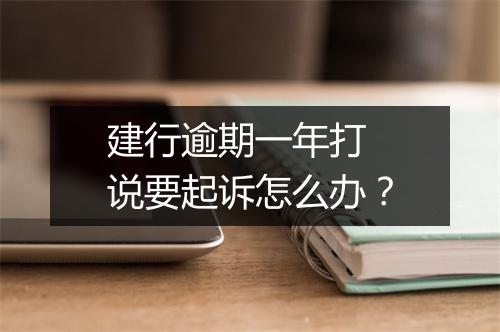 建行逾期一年打 说要起诉怎么办？