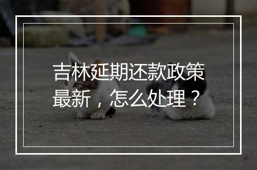 吉林延期还款政策最新，怎么处理？