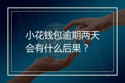 小花钱包逾期两天会有什么后果？