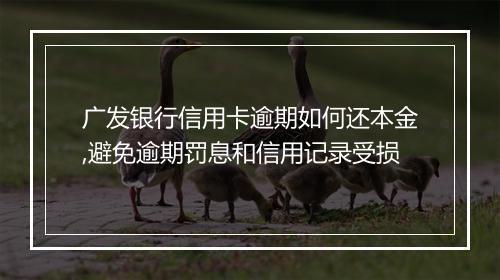 广发银行信用卡逾期如何还本金,避免逾期罚息和信用记录受损