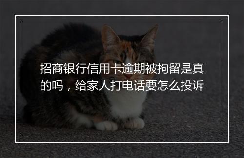 招商银行信用卡逾期被拘留是真的吗，给家人打电话要怎么投诉