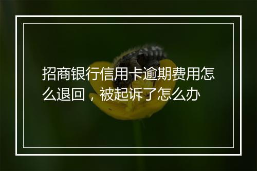 招商银行信用卡逾期费用怎么退回，被起诉了怎么办
