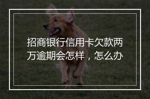 招商银行信用卡欠款两万逾期会怎样，怎么办