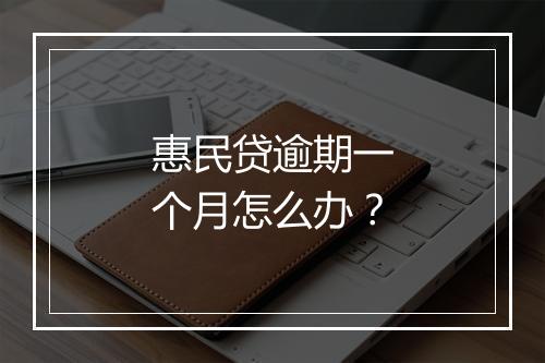 惠民贷逾期一个月怎么办？