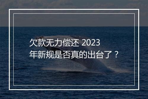 欠款无力偿还 2023 年新规是否真的出台了？
