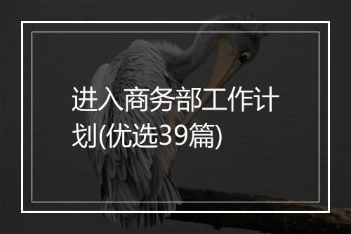 进入商务部工作计划(优选39篇)