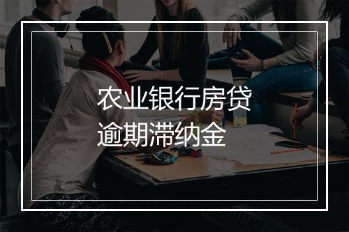 农业银行房贷逾期滞纳金