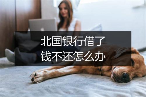 北国银行借了钱不还怎么办