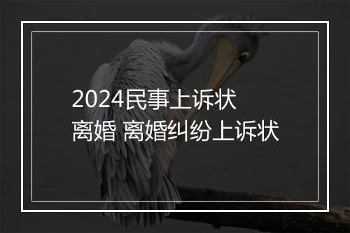2024民事上诉状 离婚 离婚纠纷上诉状