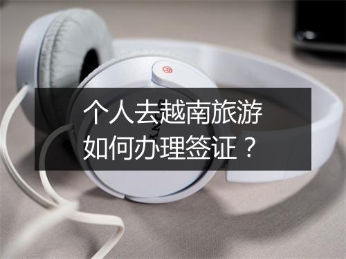 个人去越南旅游如何办理签证？