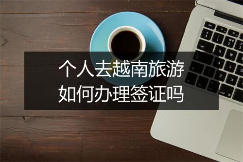 个人去越南旅游如何办理签证吗