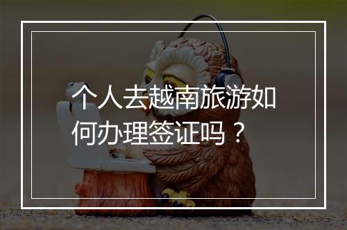 个人去越南旅游如何办理签证吗？