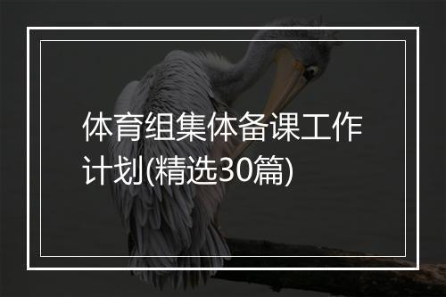 体育组集体备课工作计划(精选30篇)