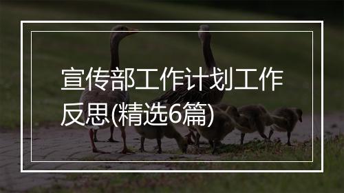 宣传部工作计划工作反思(精选6篇)