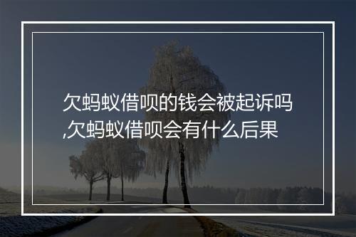 欠蚂蚁借呗的钱会被起诉吗,欠蚂蚁借呗会有什么后果