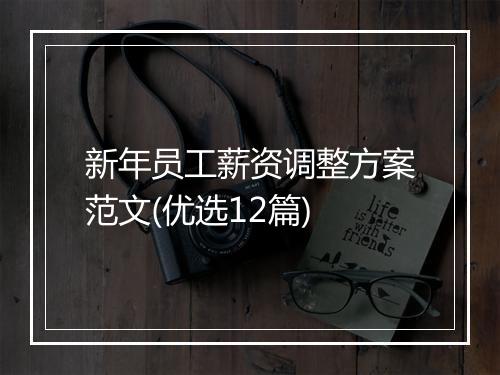 新年员工薪资调整方案范文(优选12篇)