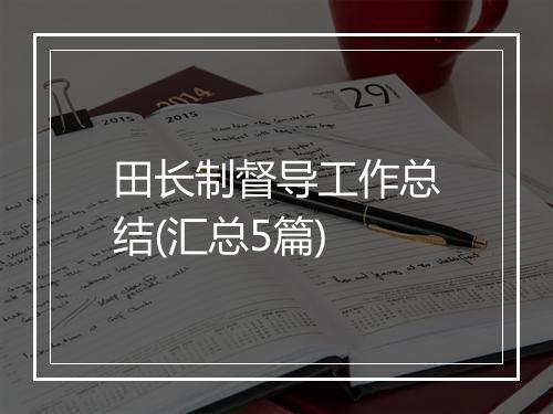 田长制督导工作总结(汇总5篇)