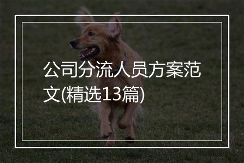 公司分流人员方案范文(精选13篇)