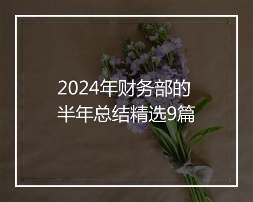 2024年财务部的半年总结精选9篇