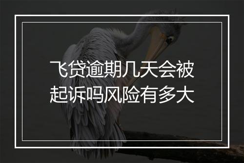 飞贷逾期几天会被起诉吗风险有多大