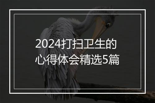 2024打扫卫生的心得体会精选5篇