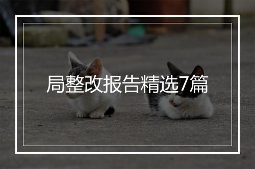 局整改报告精选7篇