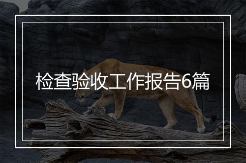 检查验收工作报告6篇
