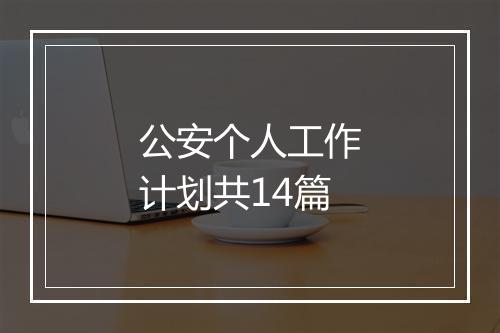 公安个人工作计划共14篇