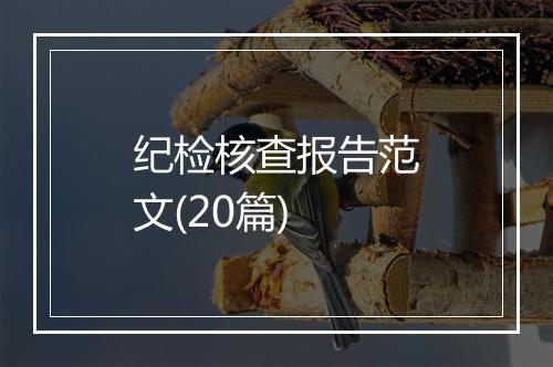 纪检核查报告范文(20篇)