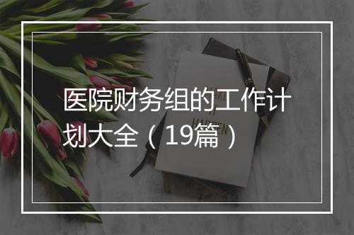 医院财务组的工作计划大全（19篇）