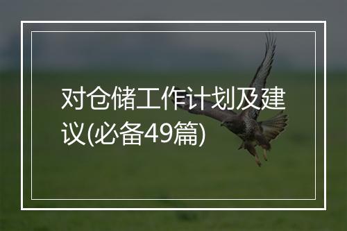 对仓储工作计划及建议(必备49篇)