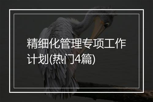 精细化管理专项工作计划(热门4篇)