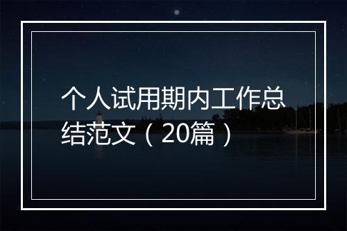 个人试用期内工作总结范文（20篇）
