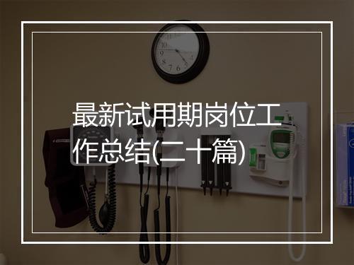最新试用期岗位工作总结(二十篇)