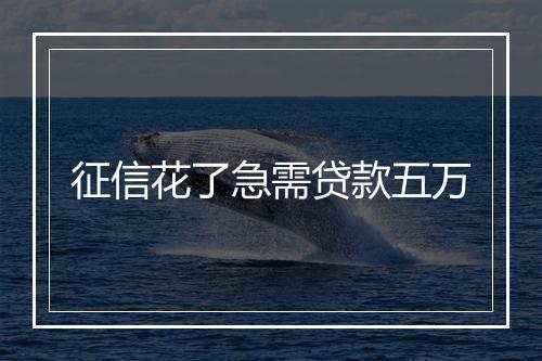 征信花了急需贷款五万