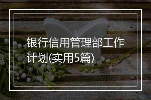 银行信用管理部工作计划(实用5篇)