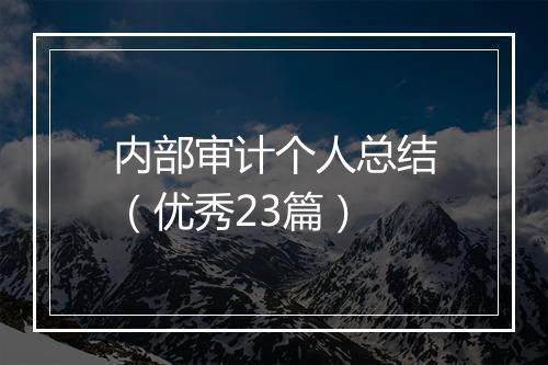 内部审计个人总结（优秀23篇）