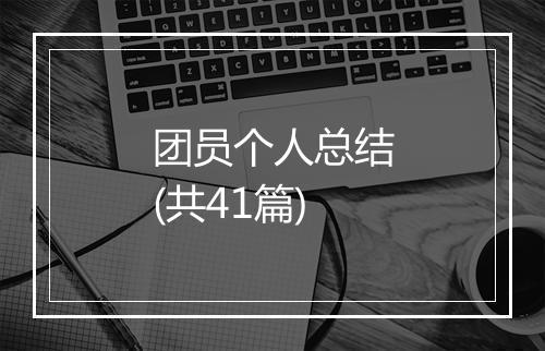 团员个人总结(共41篇)